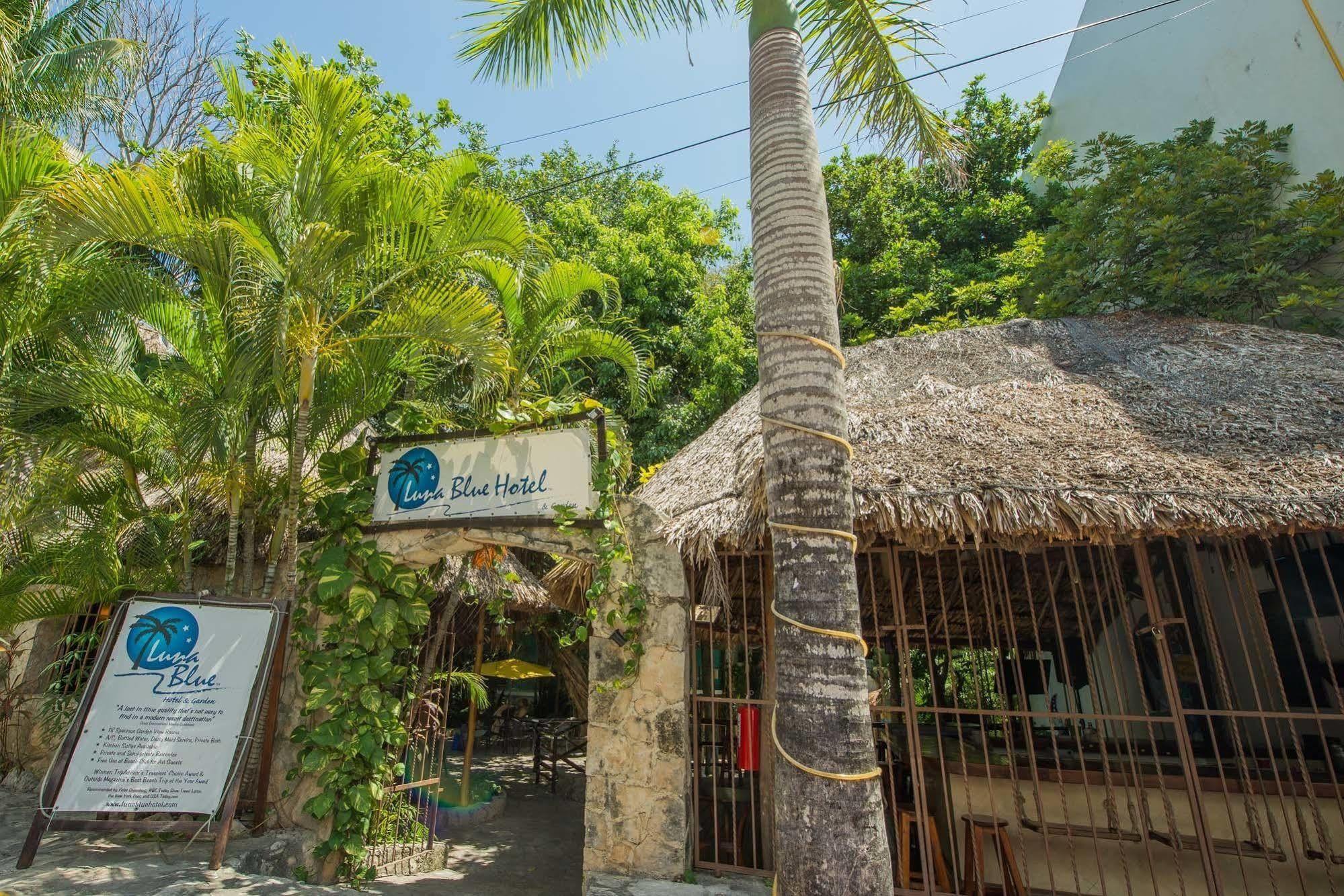 Luna Blue Hotel Playa Del Carmen Ngoại thất bức ảnh